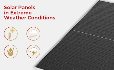 De las gotas de lluvia a los rayos: descubriendo cómo los paneles solares se adaptan al clima en constante cambio